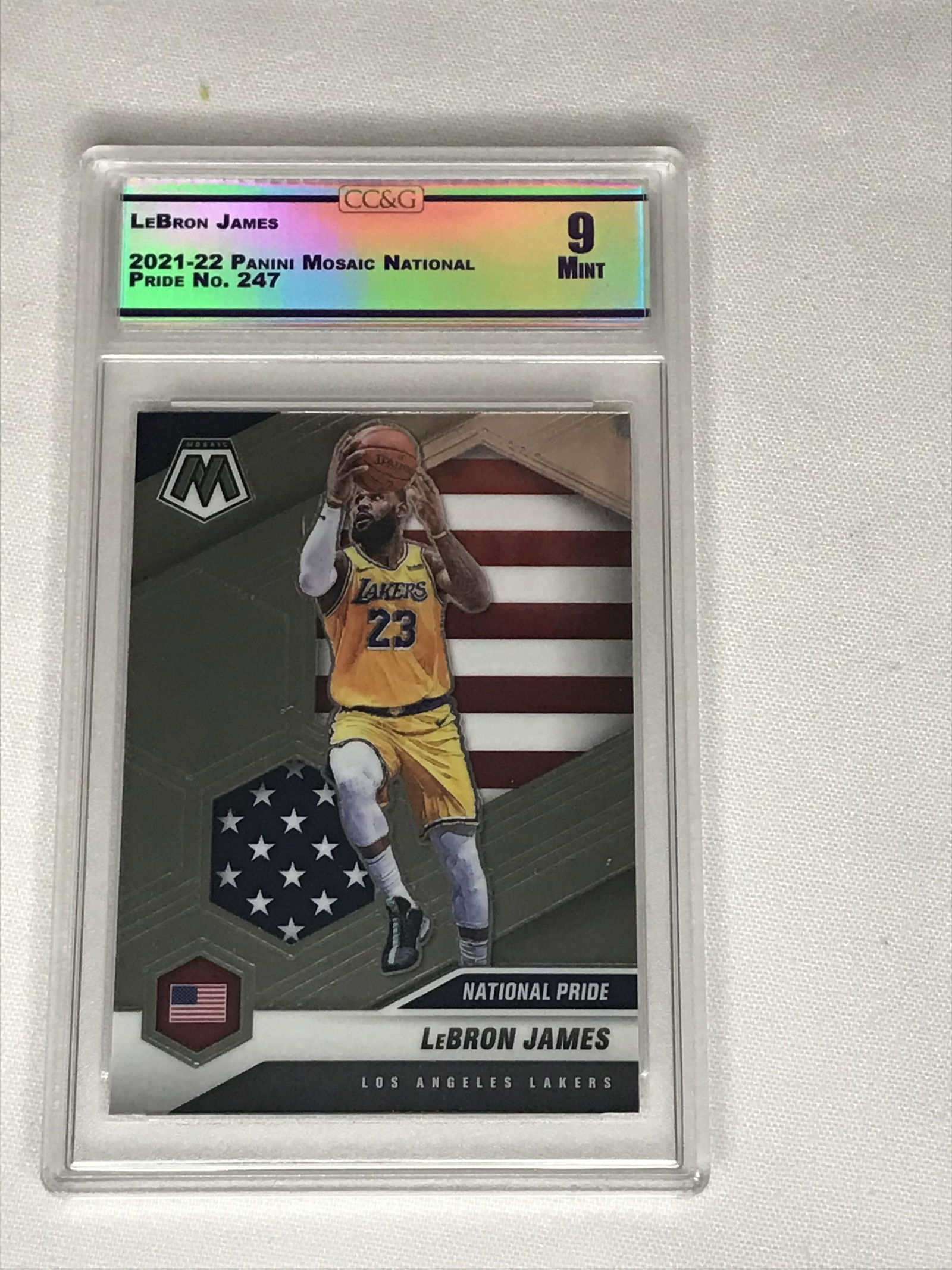 LeBron James Panini Mosaic CC&G 9 (1 of 1)