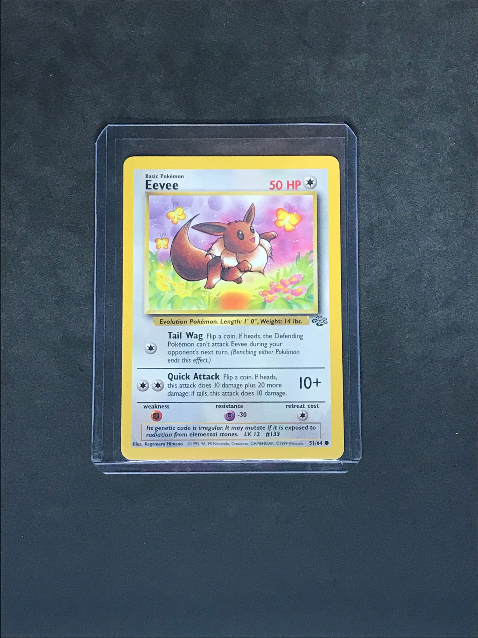 Jungle Set Eevee Vintage Pokemon Card (1 of 1)
