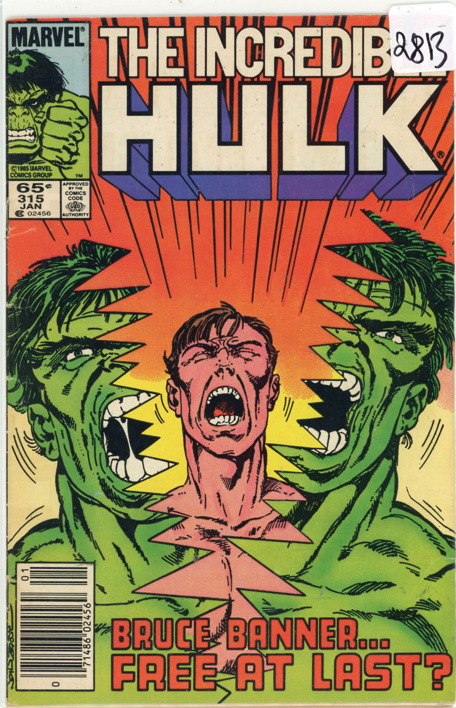 1985 Marvel Hulk Issue 315 (1 of 1)