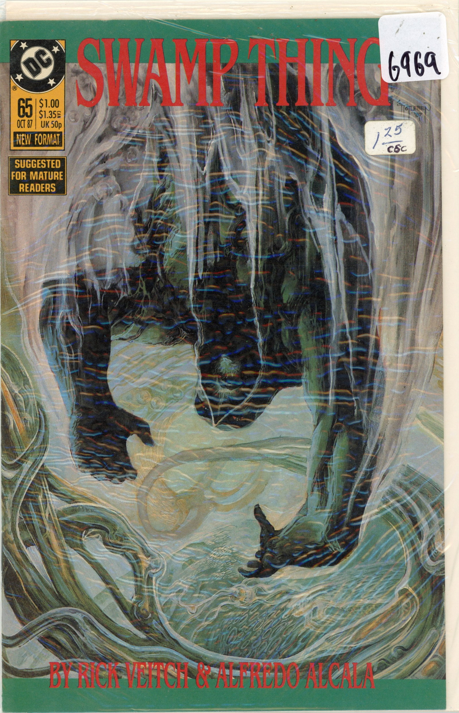 1987 DC Swamp Things Issue 65 (1 of 1)