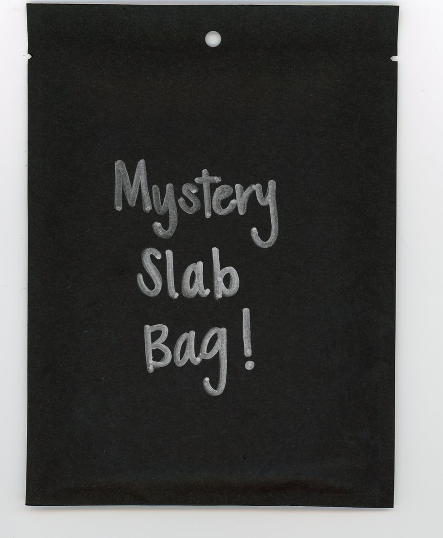 Mystery Slab Bag! Each Bag Contains 1 CC&G Graded Dragon Ball, Yu-Gi-Oh!, or Pokemon Slab!: Mystery Slab Bag! Each Bag Contains 1 CC&G Graded Dragon Ball, Yu-Gi-Oh!, or Pokemon Slab!