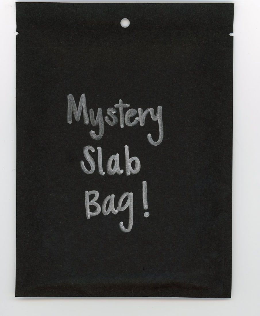 Mystery Slab Bag! Each Bag Contains 1 CC&G Graded Dragon Ball, Yu-Gi-Oh!, or Pokemon Slab!: Mystery Slab Bag! Each Bag Contains 1 CC&G Graded Dragon Ball, Yu-Gi-Oh!, or Pokemon Slab!