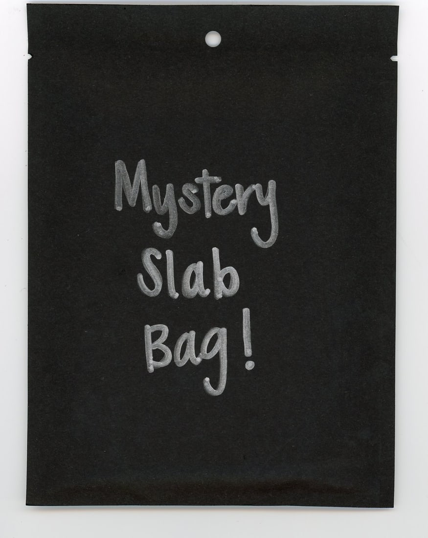 Mystery Slab Bag! Each Bag Contains 1 CC&G Graded Dragon Ball, Yu-Gi-Oh!, or Pokemon Slab!: Mystery Slab Bag! Each Bag Contains 1 CC&G Graded Dragon Ball, Yu-Gi-Oh!, or Pokemon Slab!