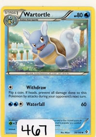 Wartortle - 2012 Pokemon Boundaries Crossed