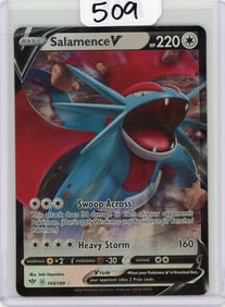 Salamence V - 2020 Pokemon Darkness Ablaze