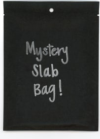 Mystery Slab Bag!! Guaranteed Slab! Pokemon, DragonBall Z, Or Yu-Gi-Oh!