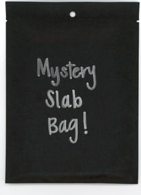 Mystery Slab Bag!! Guaranteed Slab! Pokemon, DragonBall Z, Or Yu-Gi-Oh!