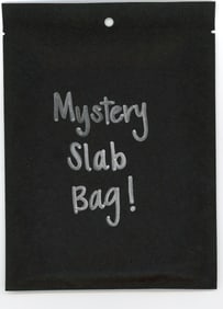 Mystery Slab Bag!! Guaranteed Slab! Pokemon, DragonBall Z, Or Yu-Gi-Oh!