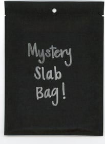 Mystery Slab Bag!! Guaranteed Slab! Pokemon, DragonBall Z, Or Yu-Gi-Oh!