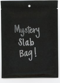Mystery Slab Bag!! Guaranteed Slab! Pokemon, DragonBall Z, Or Yu-Gi-Oh!