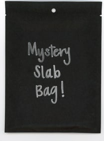 Mystery Slab Bag!! Guaranteed Slab! Pokemon, DragonBall Z, Or Yu-Gi-Oh!