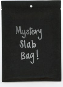 Mystery Slab Bag!! Guaranteed Slab! Pokemon, DragonBall Z, Or Yu-Gi-Oh!
