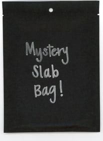 Mystery Slab Bag!! Guaranteed Slab! Pokemon, DragonBall Z, Or Yu-Gi-Oh!