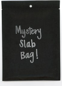 Mystery Slab Bag!! Guaranteed Slab! Pokemon, DragonBall Z, Or Yu-Gi-Oh!
