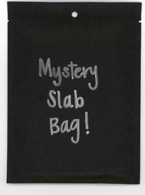 Mystery Slab Bag!! Guaranteed Slab! Pokemon, DragonBall Z, Or Yu-Gi-Oh!