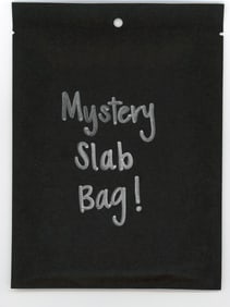Mystery Slab Bag!! Guaranteed Slab! Pokemon, DragonBall Z, Or Yu-Gi-Oh!