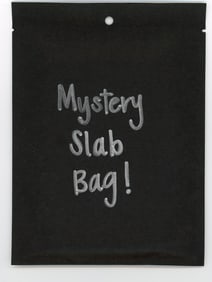 Mystery Slab Bag!! Guaranteed Slab! Pokemon, DragonBall Z, Or Yu-Gi-Oh!