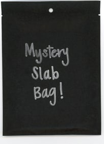 Mystery Slab Bag!! Guaranteed Slab! Pokemon, DragonBall Z, Or Yu-Gi-Oh!