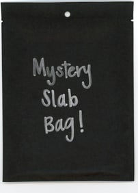 Mystery Slab Bag!! Guaranteed Slab! Pokemon, DragonBall Z, Or Yu-Gi-Oh!