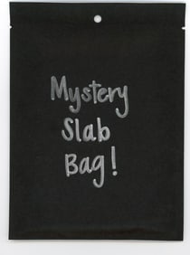 Mystery Slab Bag!! Guaranteed Slab! Pokemon, DragonBall Z, Or Yu-Gi-Oh!