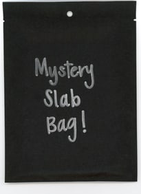 Mystery Slab Bag!! Guaranteed Slab! Pokemon, DragonBall Z, Or Yu-Gi-Oh!