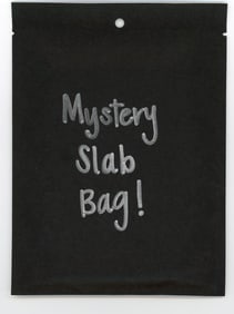 Mystery Slab Bag!! Guaranteed Slab! Pokemon, DragonBall Z, Or Yu-Gi-Oh!
