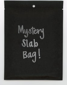 Mystery Slab Bag!! Guaranteed Slab! Pokemon, DragonBall Z, Or Yu-Gi-Oh!