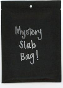 Mystery Slab Bag!! Guaranteed Slab! Pokemon, DragonBall Z, Or Yu-Gi-Oh!