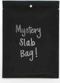 Mystery Slab Bag!! Guaranteed Slab! Pokemon, DragonBall Z, Or Yu-Gi-Oh!