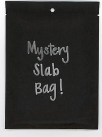 Mystery Slab Bag!! Guaranteed Slab! Pokemon, DragonBall Z, Or Yu-Gi-Oh!