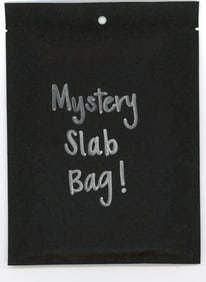 Mystery Slab Bag!! Guaranteed Slab! Pokemon, DragonBall Z, Or Yu-Gi-Oh!