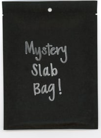 Mystery Slab Bag!! Guaranteed Slab! Pokemon, DragonBall Z, Or Yu-Gi-Oh!