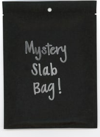 Mystery Slab Bag!! Guaranteed Slab! Pokemon, DragonBall Z, Or Yu-Gi-Oh!