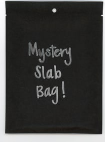 Mystery Slab Bag!! Guaranteed Slab! Pokemon, DragonBall Z, Or Yu-Gi-Oh!