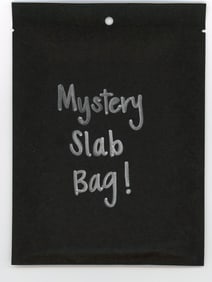 Mystery Slab Bag!! Guaranteed Slab! Pokemon, DragonBall Z, Or Yu-Gi-Oh!