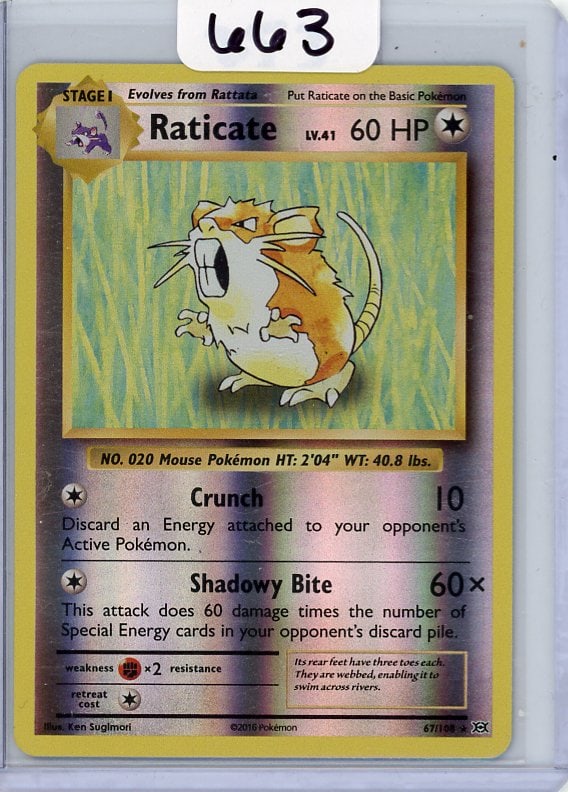 Raticate - 2016 Pokemon Evolutions - Reverse Holo (1 of 1)