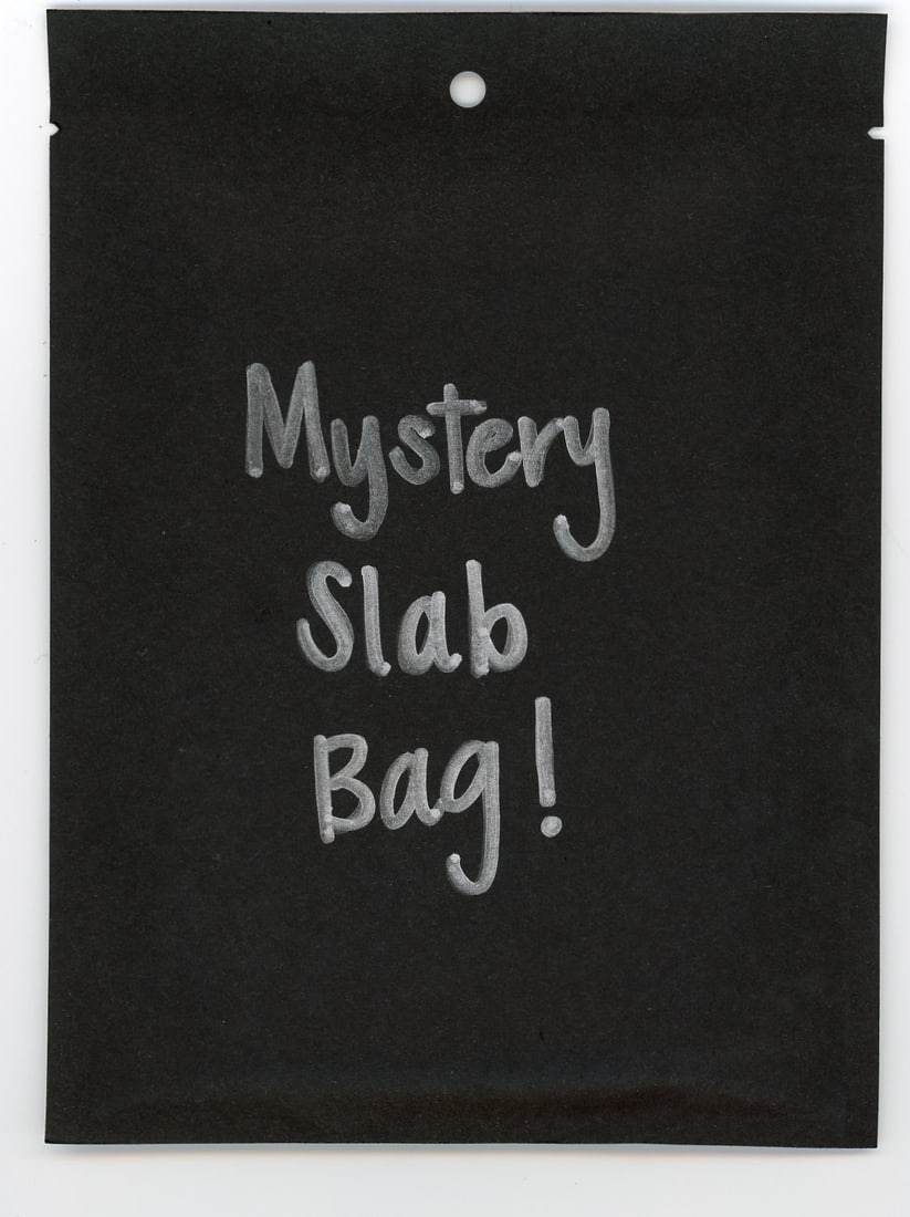 Mystery Slab Bag! CC&G Graded Pokemon, Yu-Gi-Oh!, Or DBZ Slab Guaranteed!!: Mystery Slab Bag! CC&G Graded Pokemon, Yu-Gi-Oh!, Or DBZ Slab Guaranteed!!