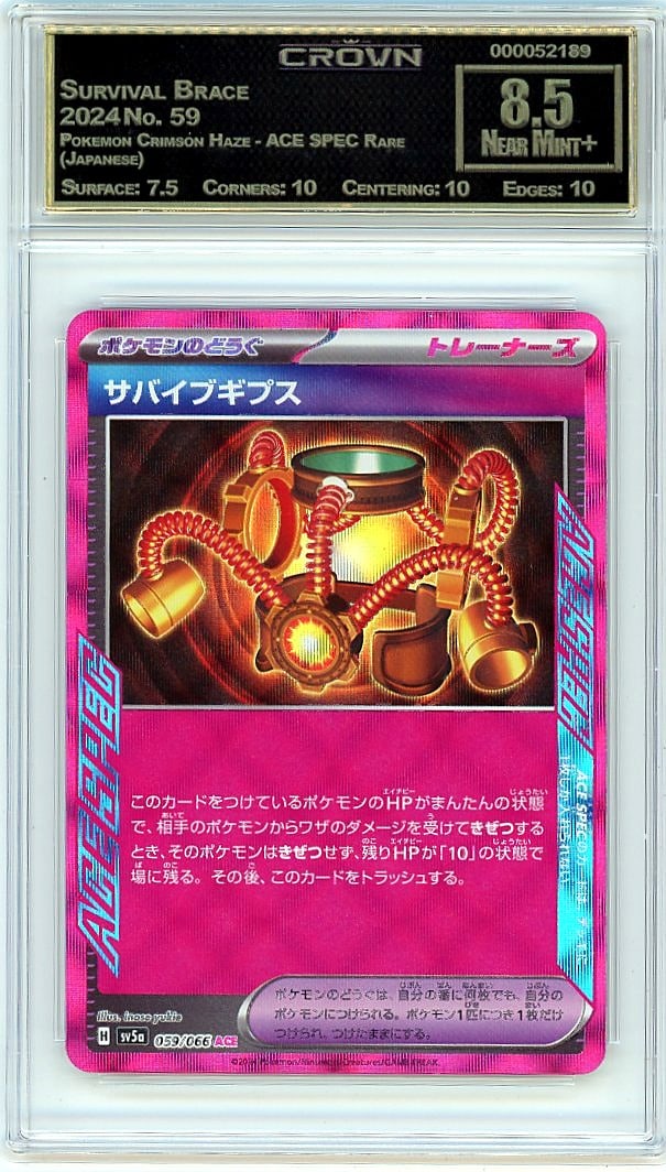 2024 Survival Brace Pokemon Crimson Haze - ACE SP (1 of 1)