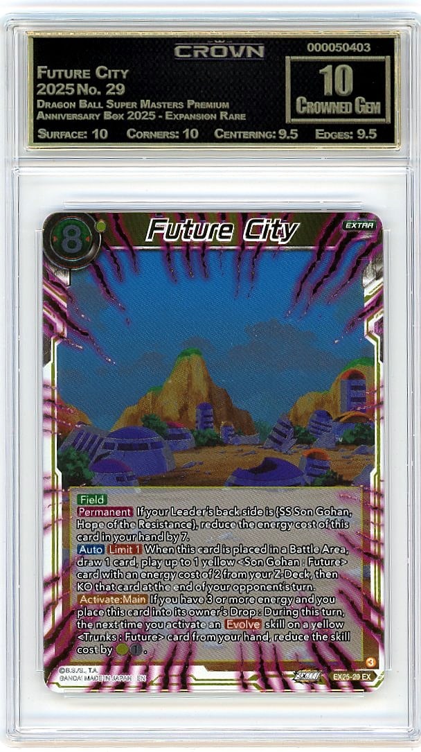 2025 Future City Dragon Ball Super Masters Premiu (1 of 1)