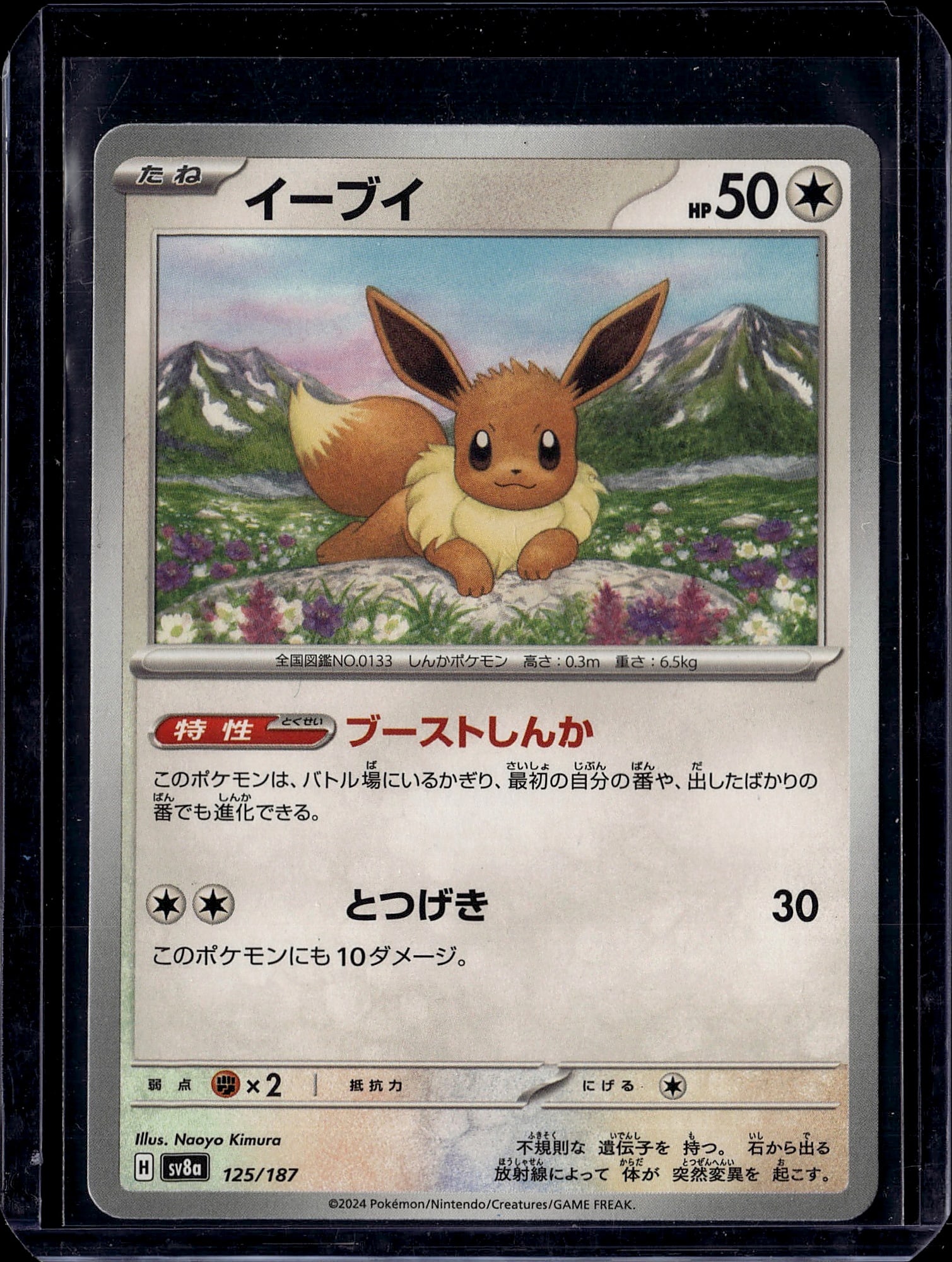 2024 Pokemon Scarlet Violet Eevee 125/187 Japanes: This is a 2024 Pokemon Trading Card Game card featuring Eevee, the iconic Normal-type Pokemon, from the Scarlet & Violet expansion set. Card number 125/187. The card is printed in Japanese and feature