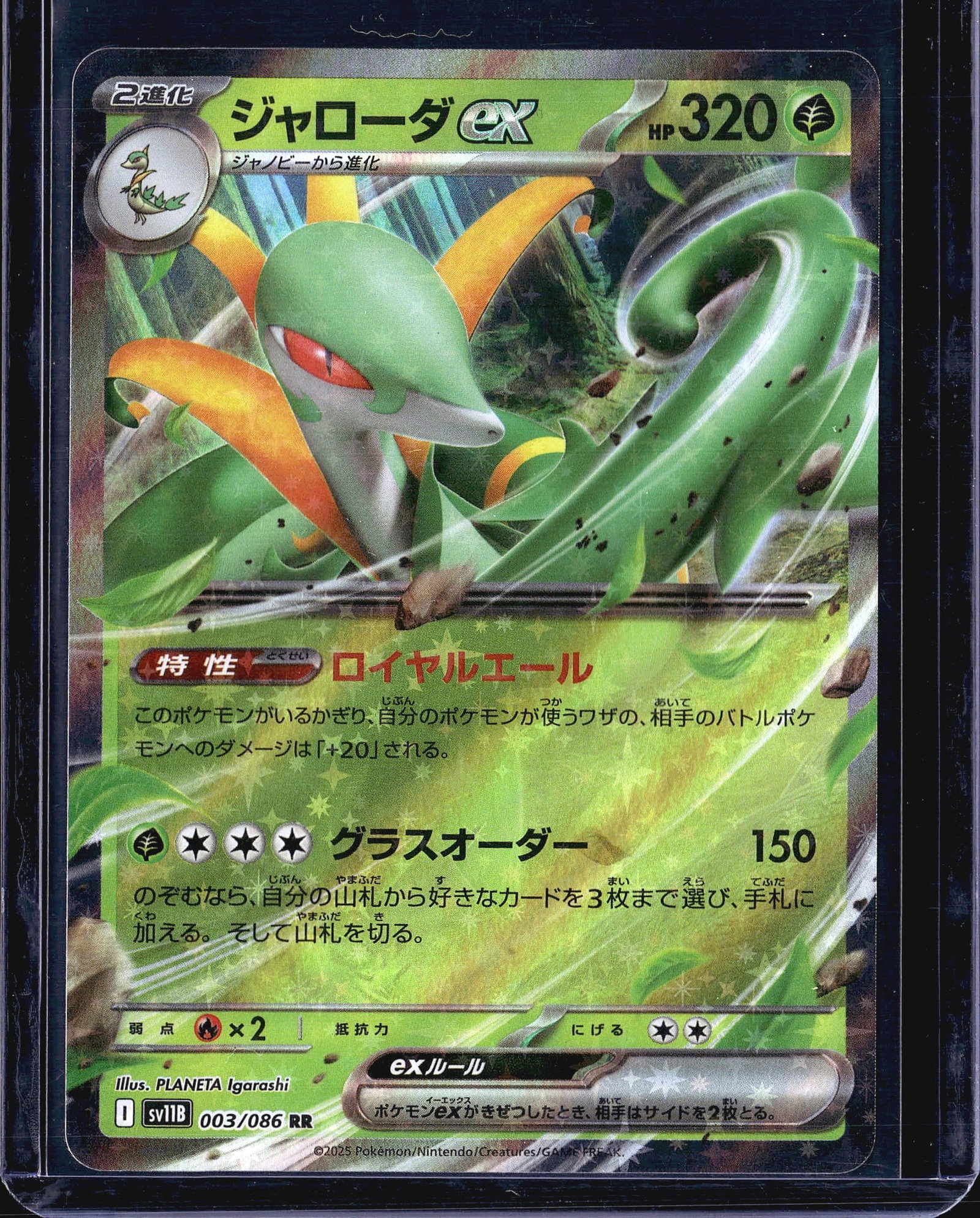 2024 Pokemon SV11B Black Bolt Serperior ex 003/08: This listing features the 2025 Japanese Pokemon TCG Serperior ex card, numbered 003/086 from the sv11B set. The card carries a Double Rare (RR) rarity designation and is a Stage 2 Pokemon ex with 320