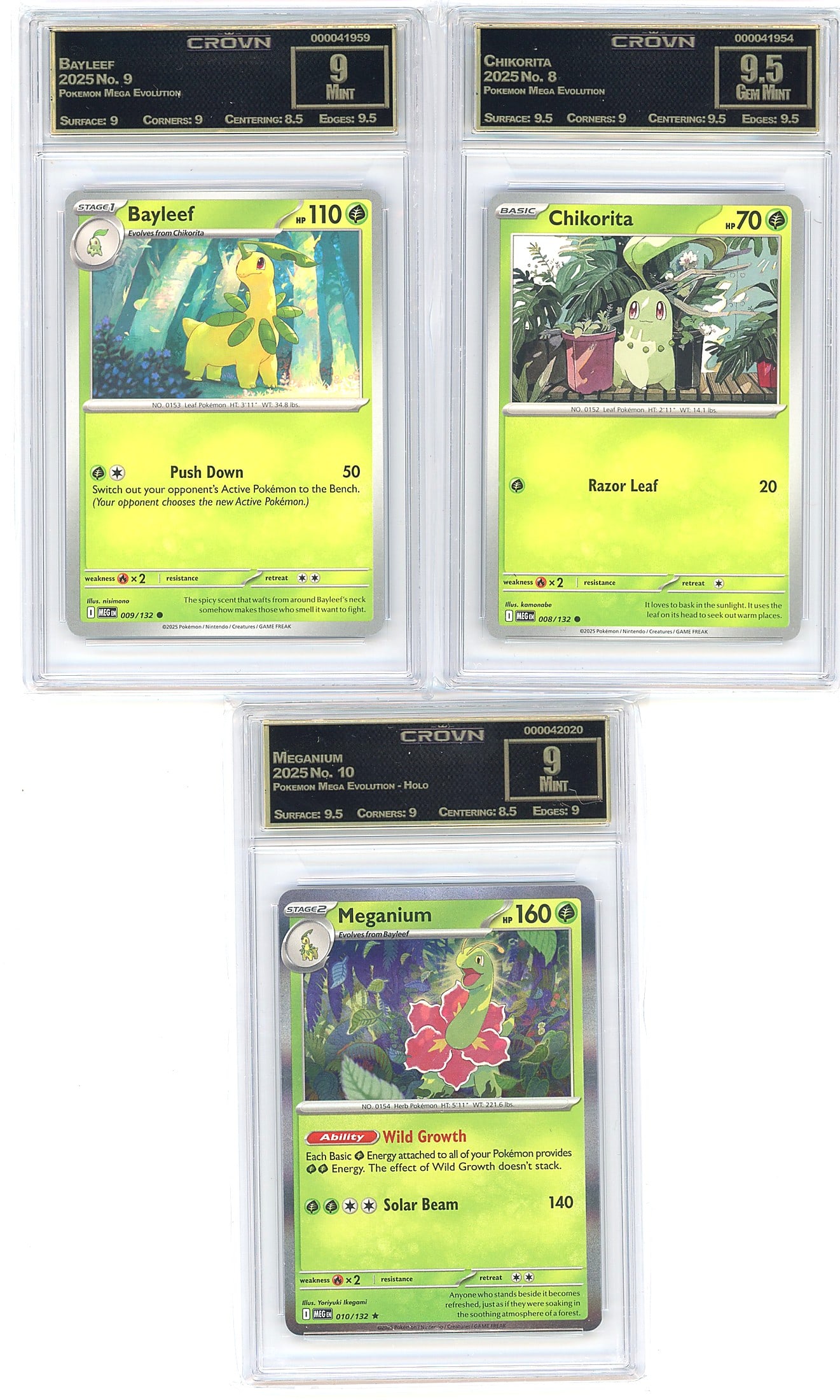 2025 Pokemon Mega Evolution: This listing features a complete Chikorita evolution line lot from the 2025 Pokemon Mega Evolution set, all professionally graded by Crown Grading. The set includes Chikorita (008/132) graded Crown