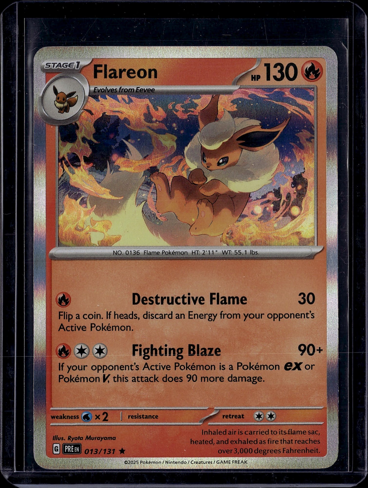 Flareon 013/131 Pokemon Scarlet Violet Single: This is a Flareon Pokemon single card from the modern Scarlet & Violet set, card number 013/131. As a Stage 1 Fire-type Pokemon that evolves from Eevee, Flareon features 130 HP and showcases two