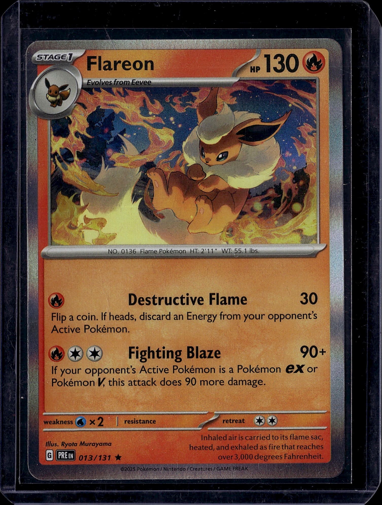 Flareon 013/131 Pokemon Scarlet & Violet Stage 1: This is a raw Flareon Pokemon trading card from the Scarlet & Violet set, card number 013/131. Flareon is a Stage 1 Fire-type Pokemon that evolves from Eevee, featuring 130 HP. The card displays