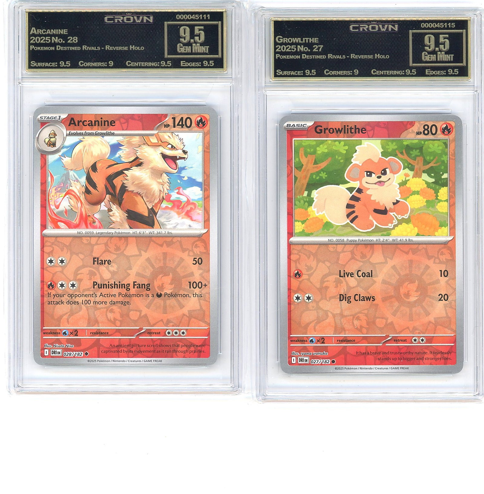 2025 Pokemon Destined Rivals Arcanine: This listing features a matching pair of 2025 Pokemon Destined Rivals Reverse Holo cards, both professionally graded by Crown Grading at 9.5 Gem Mint. The lot includes Arcanine (028/182), a Stage 1