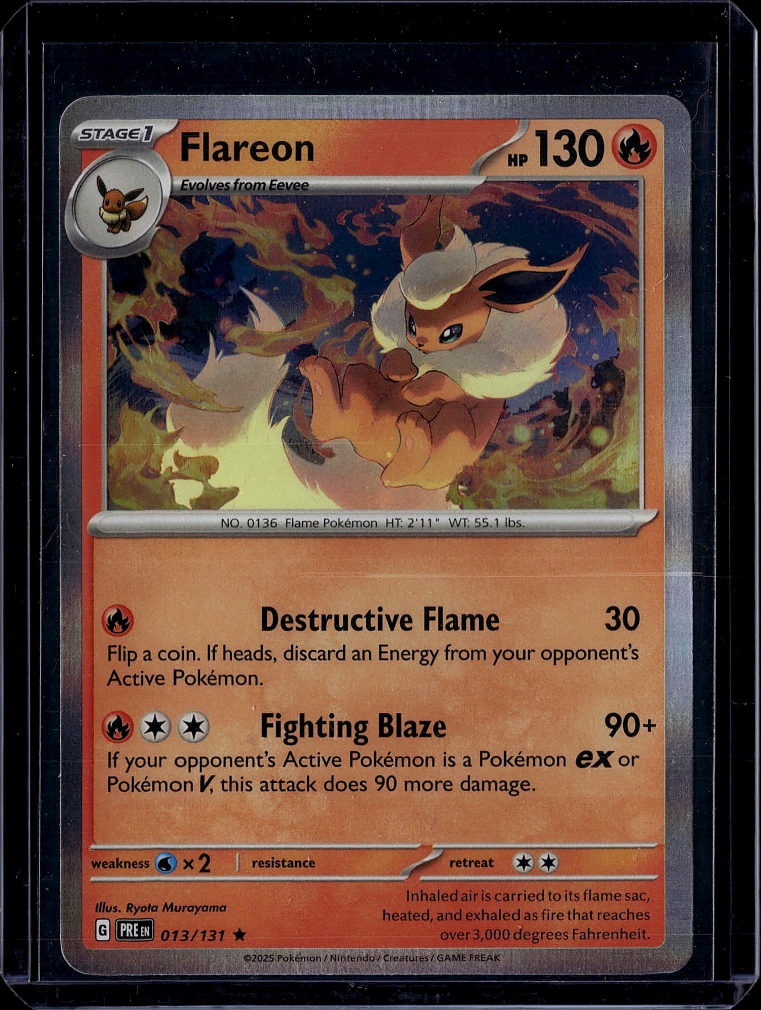 Flareon 013/131 Pokemon TCG Scarlet Violet: This is a raw Flareon Pokemon trading card from the Scarlet & Violet era (2025), card number 013/131. Flareon is a Stage 1 Fire-type Pokemon that evolves from Eevee, featuring 130 HP and vibrant