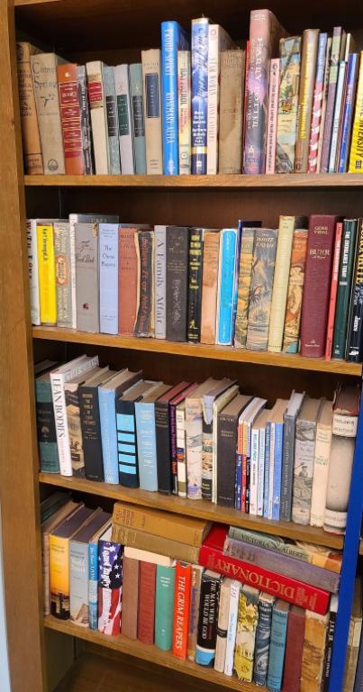 4 Shelf Library Lot (1 of 5)