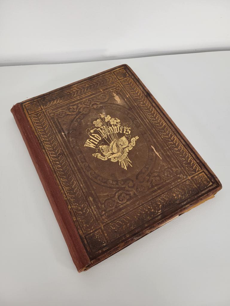 "Wild Flowers" by Mrs. G. M. Badger (1 of 10)