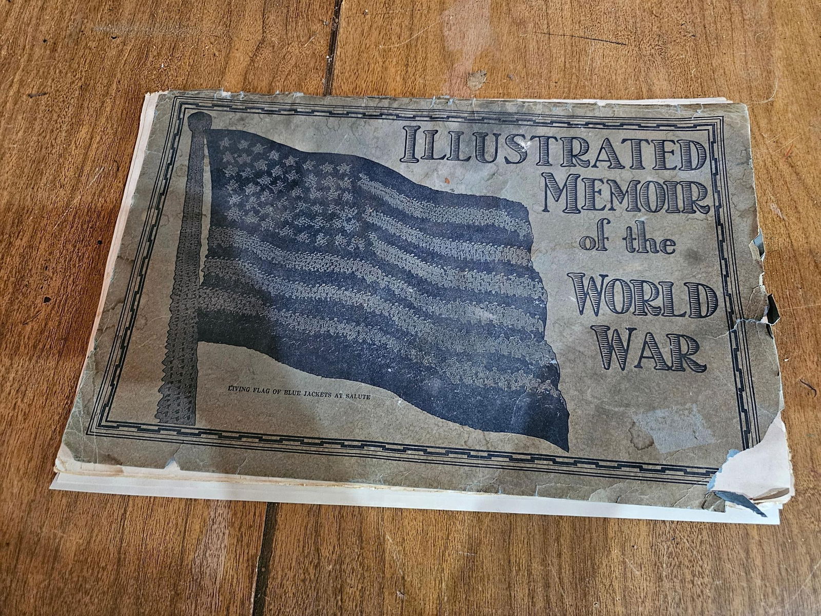 1919 Illustrated Memoir of World War (1 of 12)