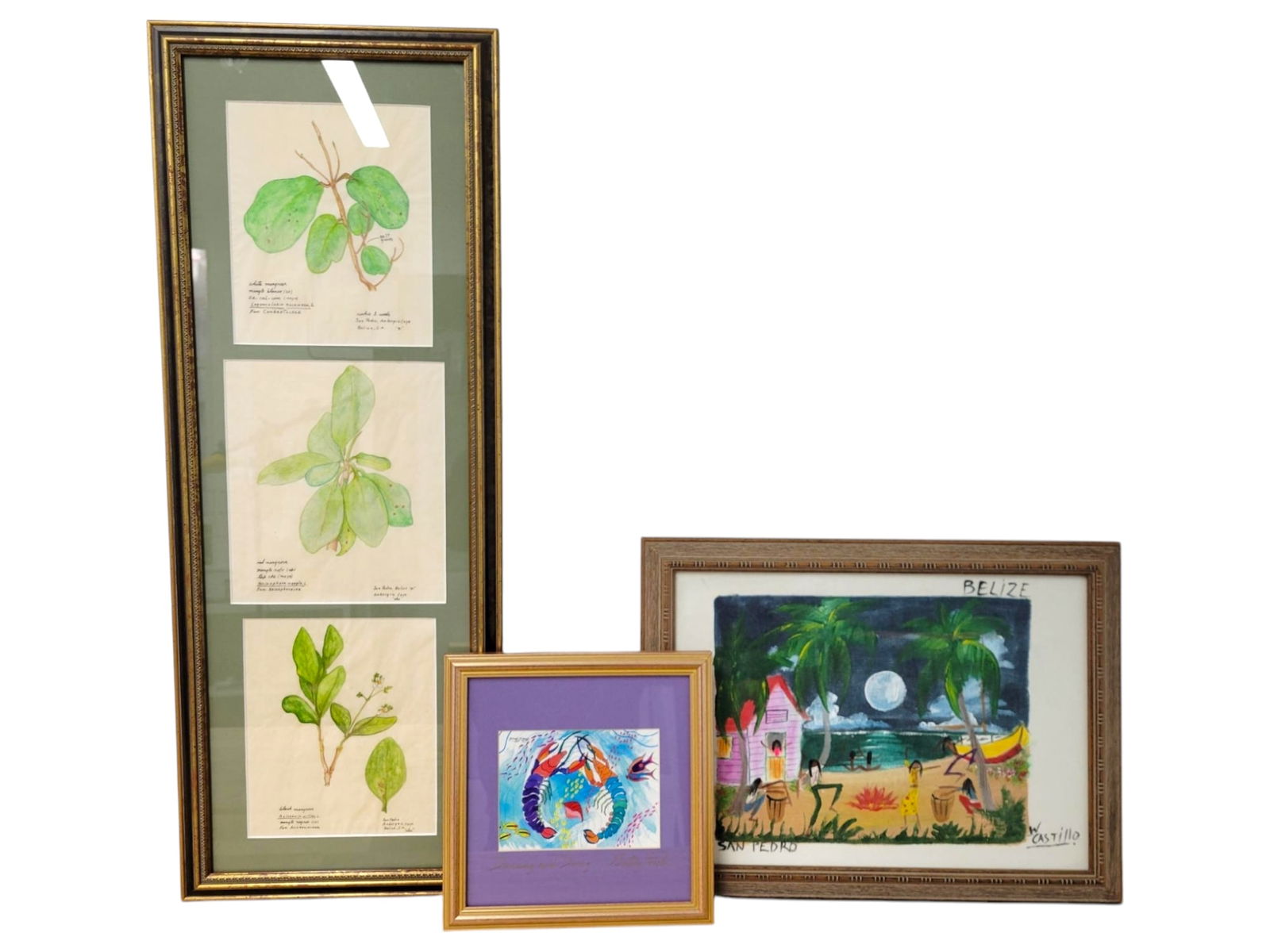 Trio of Botanical and Tropical Framed Artworks (1 of 18)